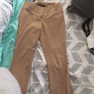 Dress pants